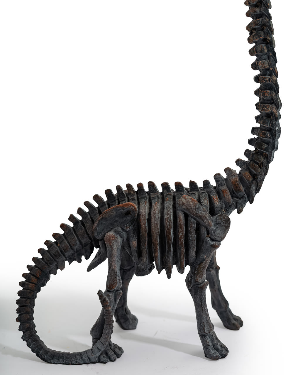 Brachiosaurus Dinosaur Skeleton Ornament