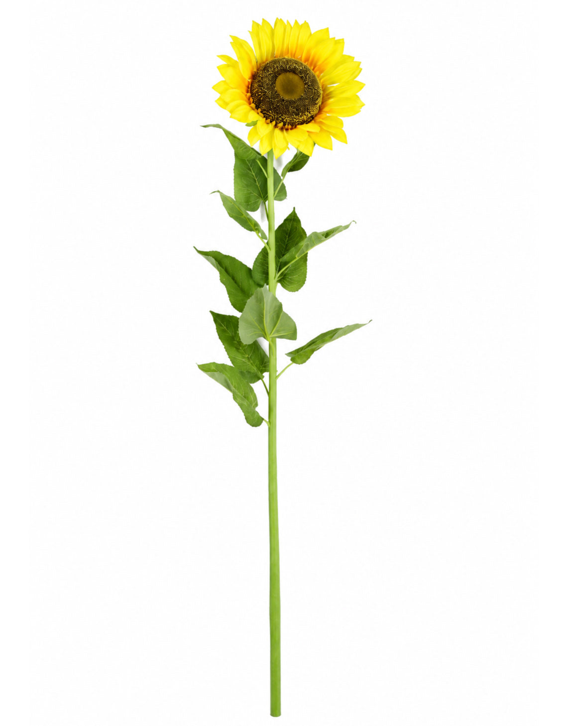 Giant 185cm Sunflower