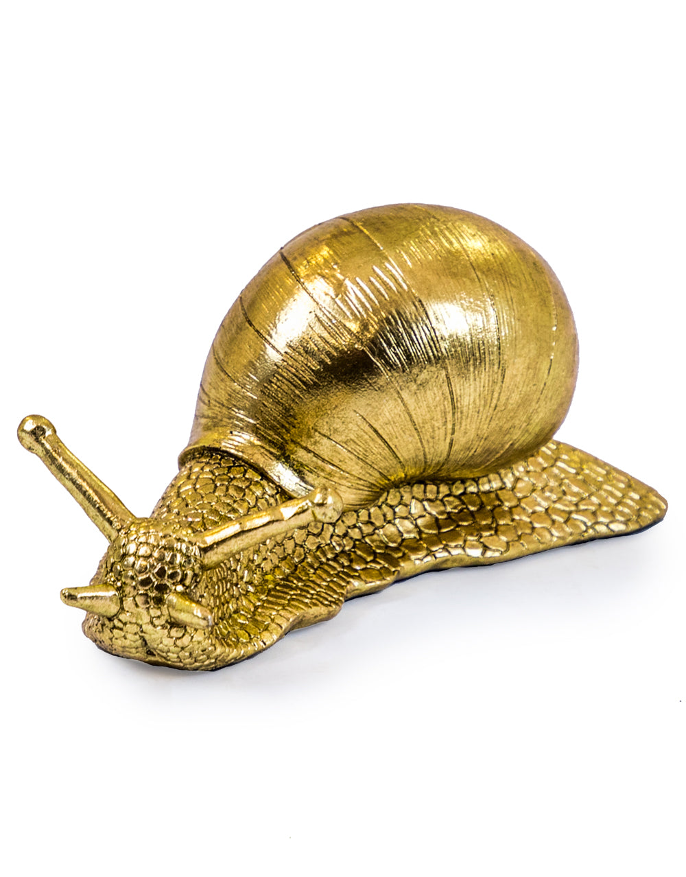 Snail Figure