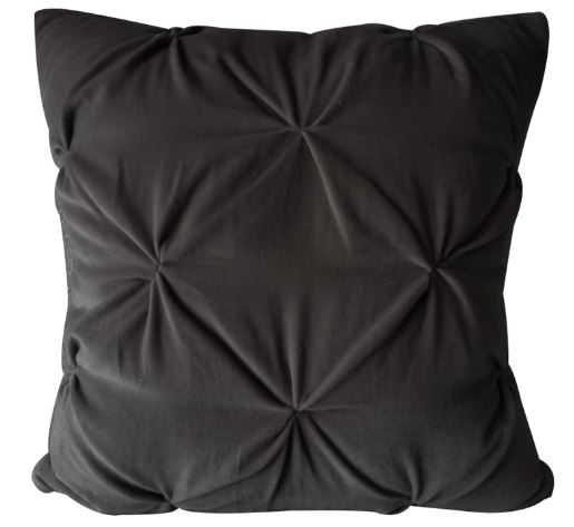 Opulent Velvet Cushion