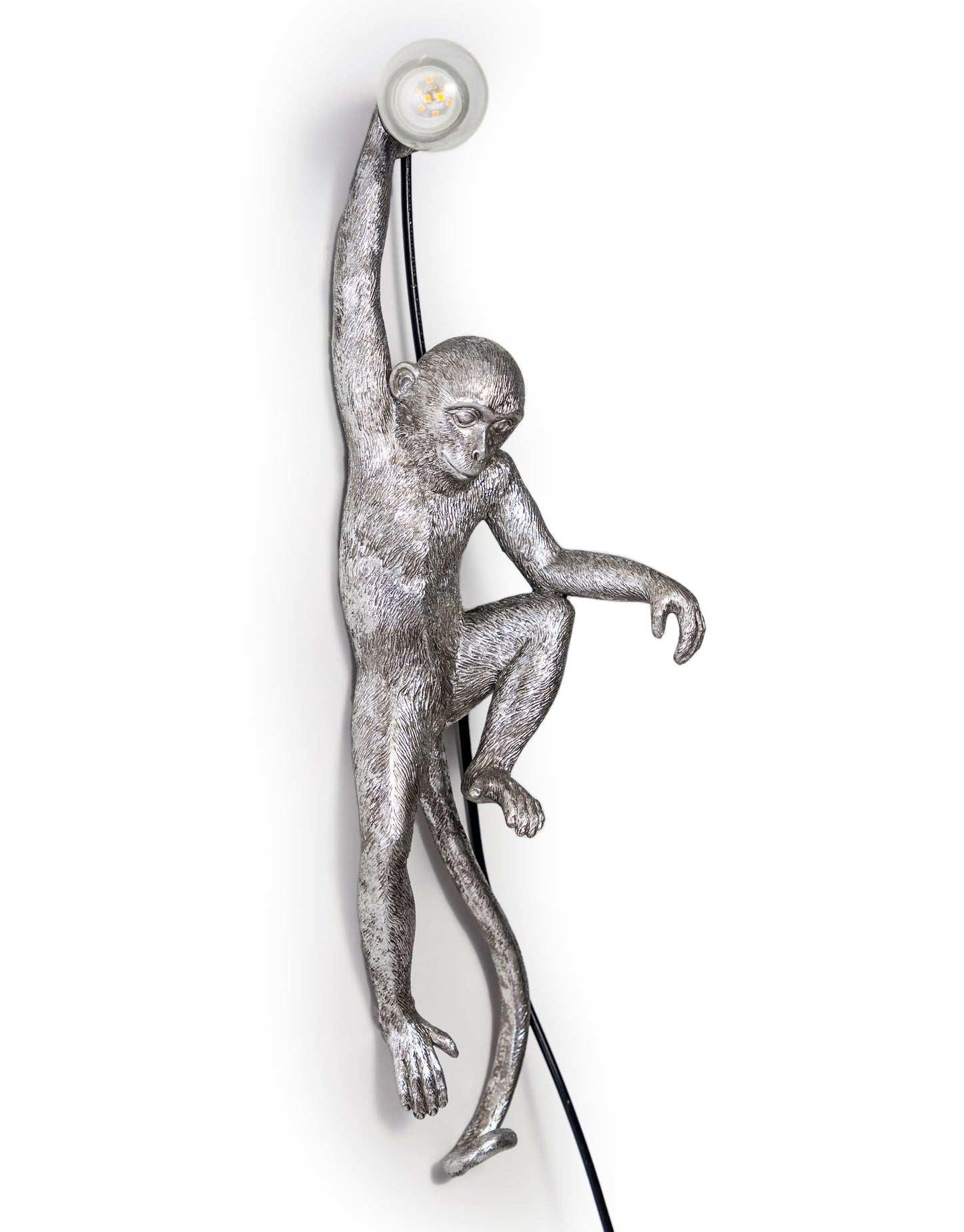 Climbing Monkey Wall Light