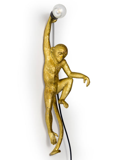 Climbing Monkey Wall Light