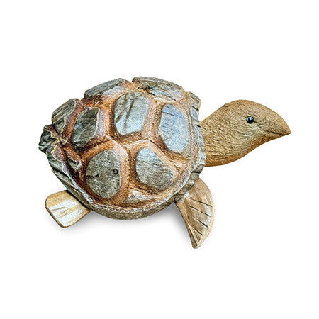 COCONUT NODDING TORTOISE