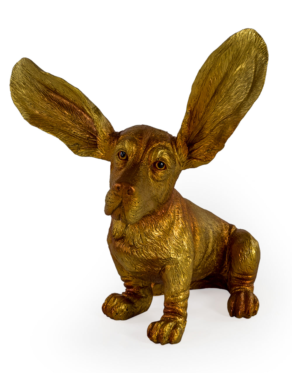 Gold Surprised Basset