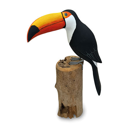 TOUCAN