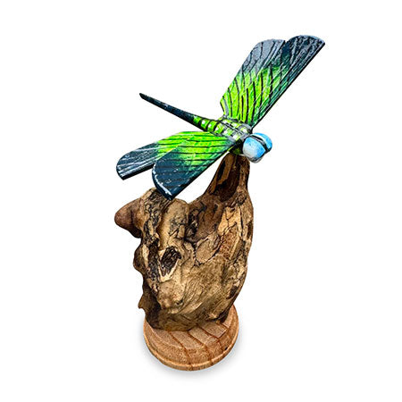 SINGLE EMPEROR DRAGONFLY ON DRIFTWOOD 14cm H