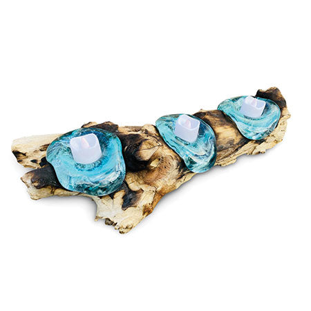 ROOT WITH GLASS CANDLE HOLDER TRIPLE