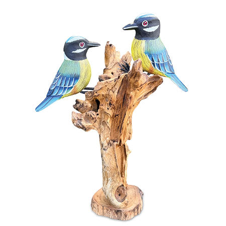 DOUBLE BLUE TIT FORAGING