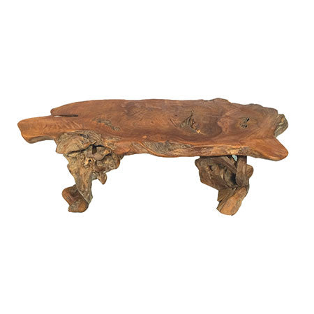 Root coffee table 2 legs