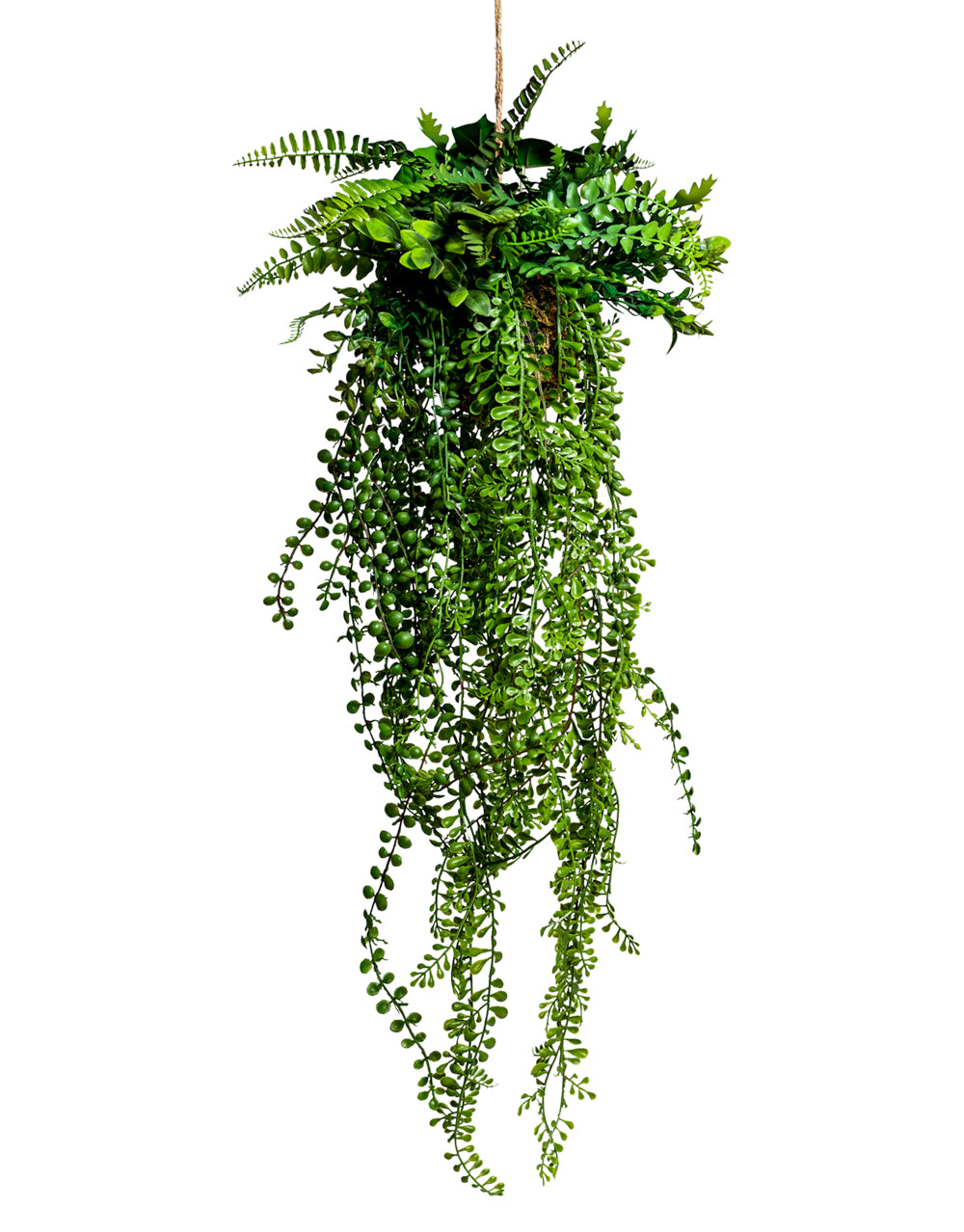 Ornamental Hanging Airplant Vine Arrangement