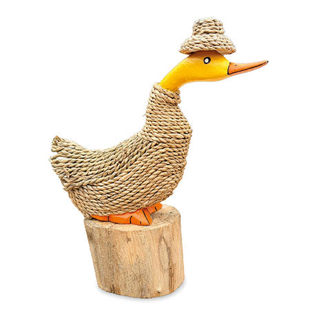 DUCKLE BERRY FINN 22CM