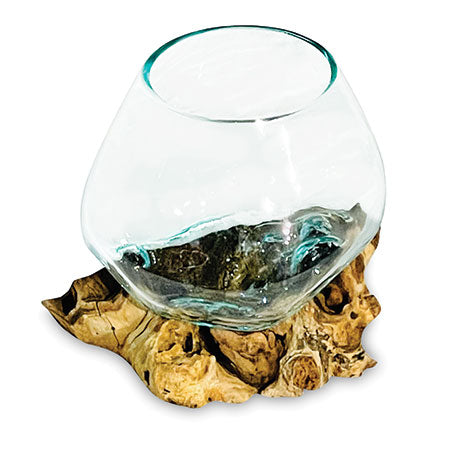 ROOT WITH GLASS BOWL EXTRA SMALL
