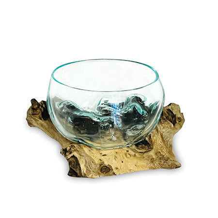 ROOT WITH GLASS FRUIT BOWL TINY