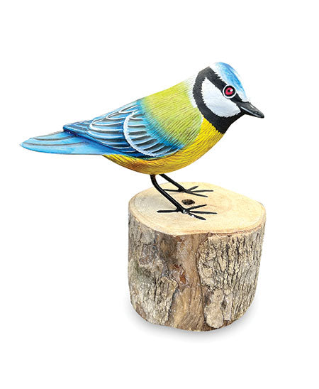 BLUE TIT
