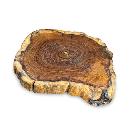 TREE ROOT SLICE PLACEMATS SMALL SIZE  20-25CM