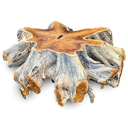Root Round Spider Coffee Table Large
