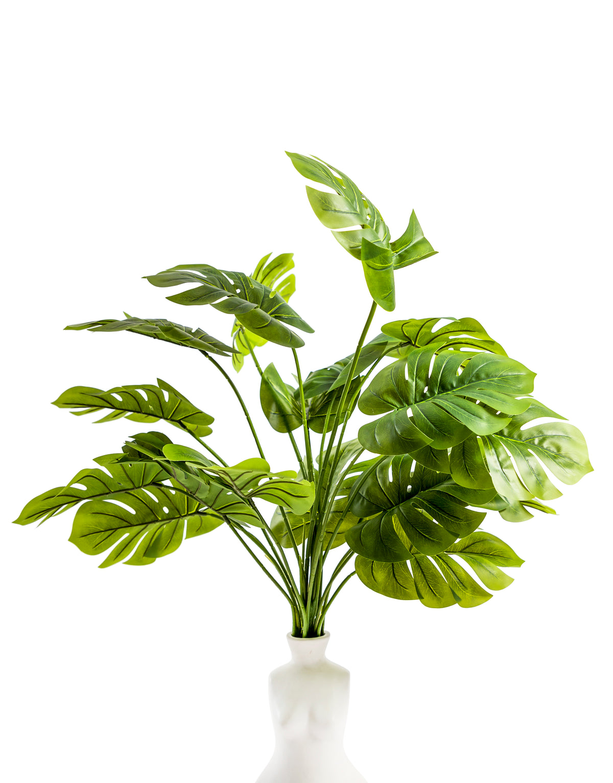 Large Monstera Leaf Bunch