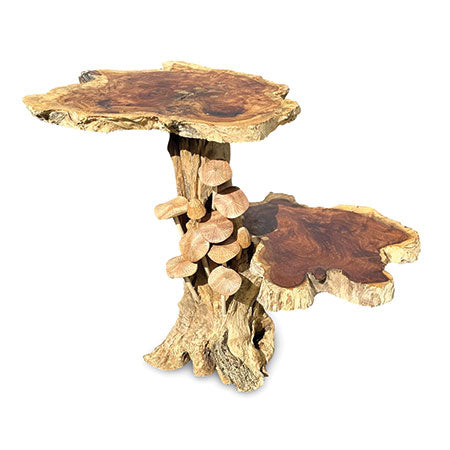 DRIFTWOOD MUSHROOM COLONY LAMP TABLE, WITH 9 MUSHROOMS, 30CM.