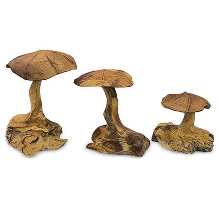 Root Wild Mushroom Small - Set of 3