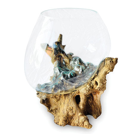 ROOT WITH GLASS BOWL LARGE