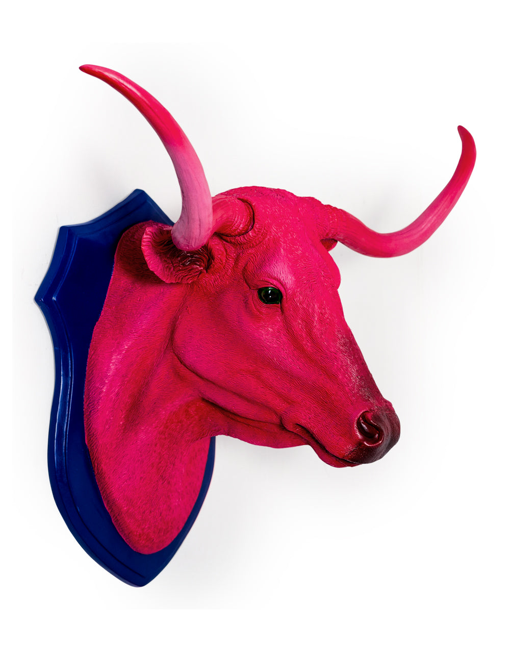 Pink Steer Wall Head