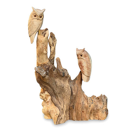 DOUBLE TAWNY OWL ON DRIFTWOOD