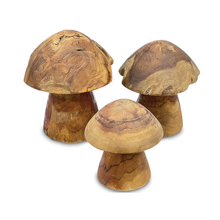 Root Mushrooms - Set of 3