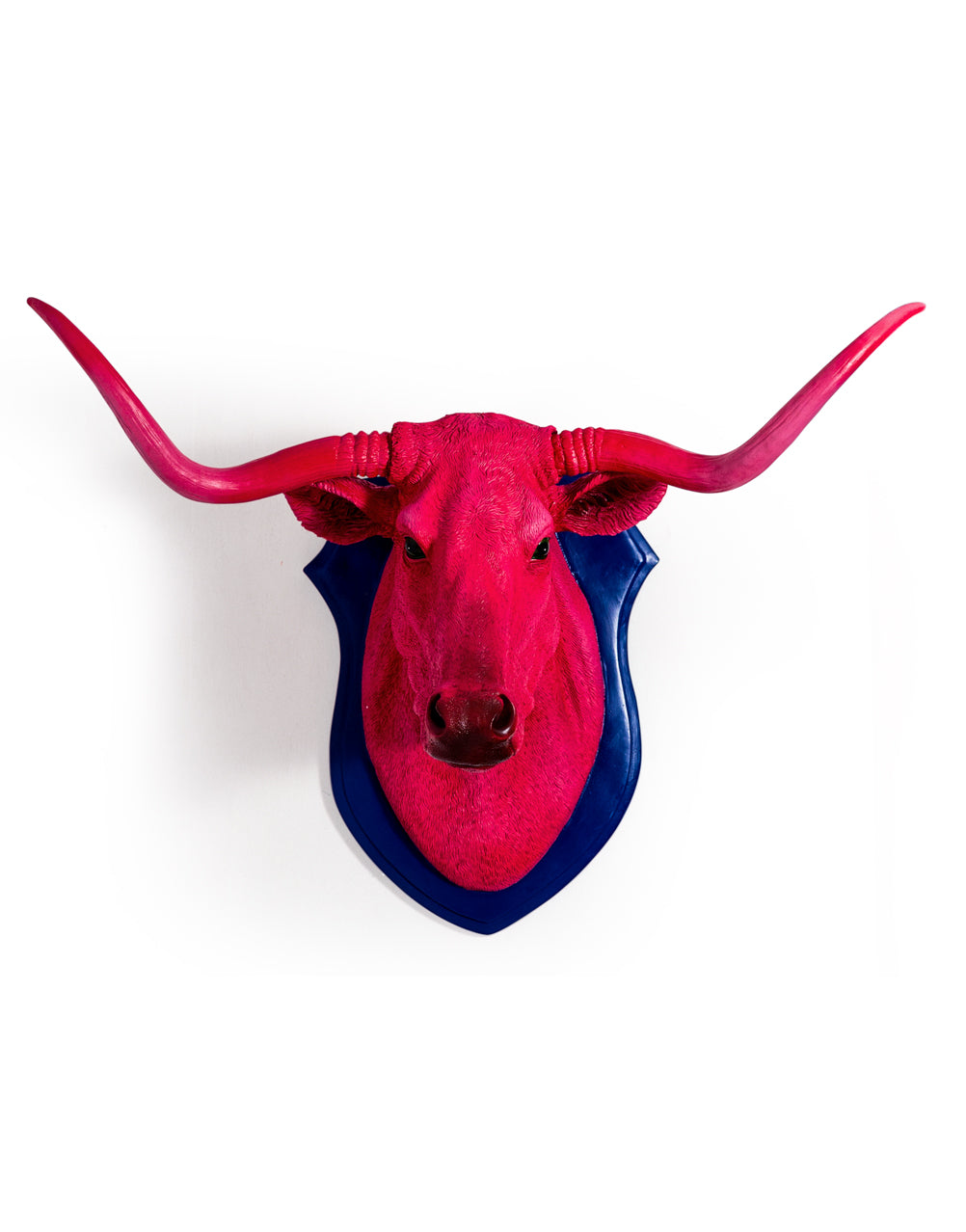 Pink Steer Wall Head