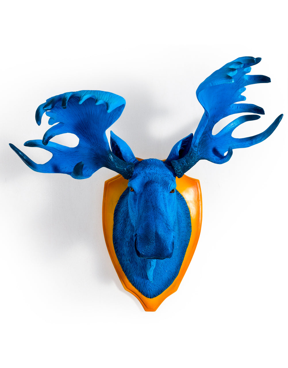 Electric Blue Moose Wall Head
