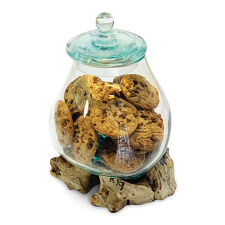 ROOT WITH GLASS JAR
