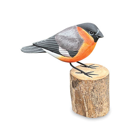 BULLFINCH