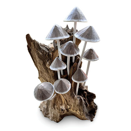 INK CAP MUSHROOM COLONY DRIFTWOOD SCULPTURE H 30CM