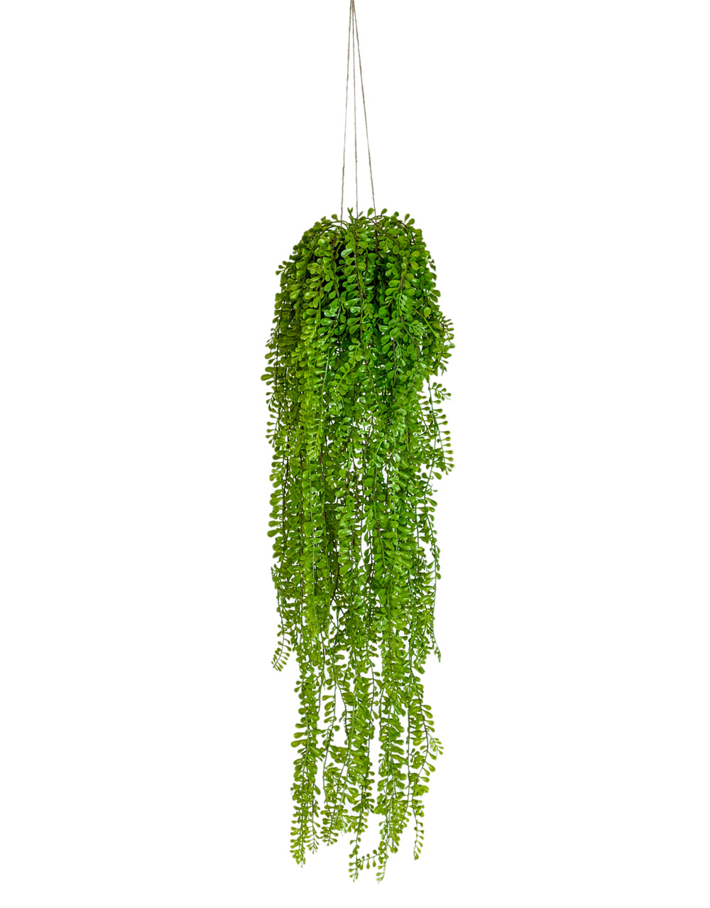Hanging Airplant Vine Arrangement