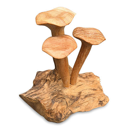 FORAGED TRIO OF CHANTERELLE MUSHROOMS
