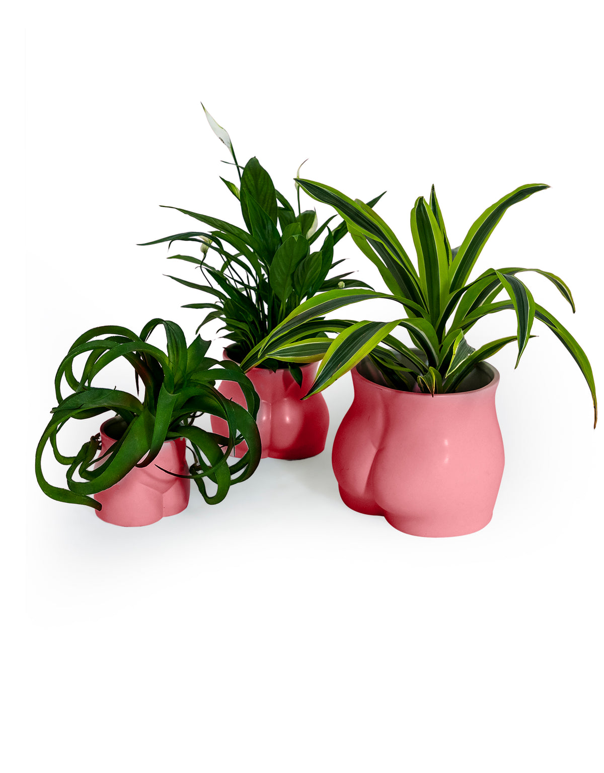 Pink Medium Booty Flower Pot/Storage Jar